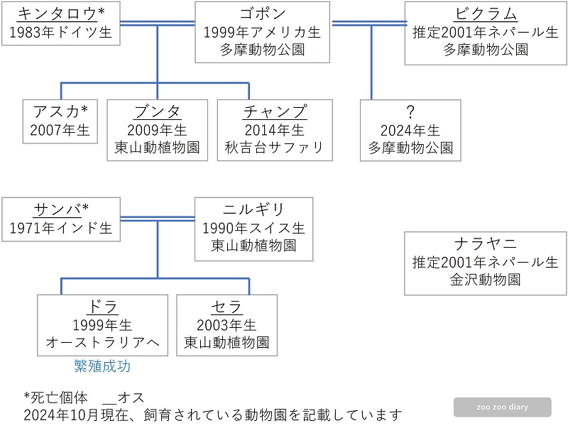 日本にいるインドサイの家系図　相関図